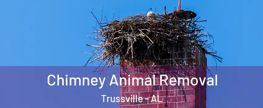 Chimney Animal Removal Trussville - AL