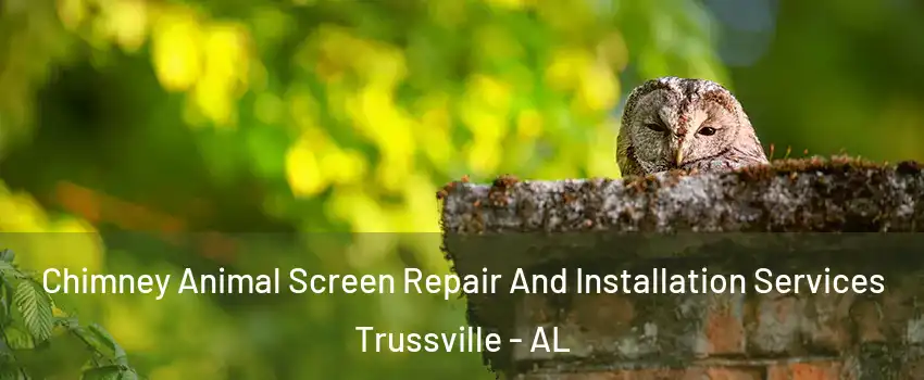  Chimney Animal Screen Repair And Installation Services Trussville - AL