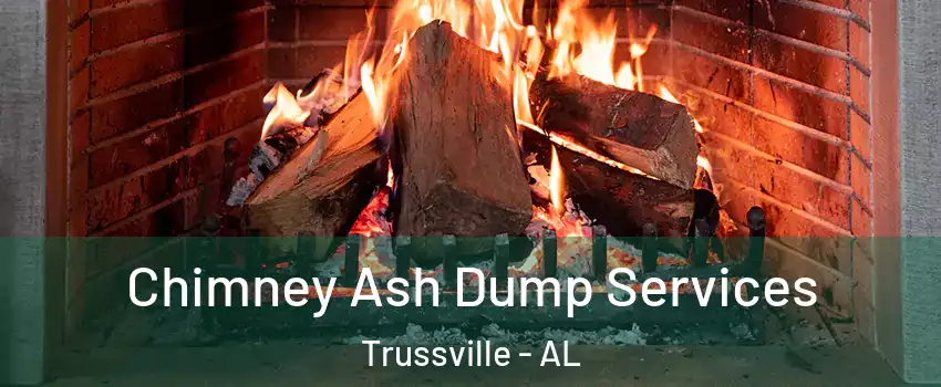  Chimney Ash Dump Services Trussville - AL