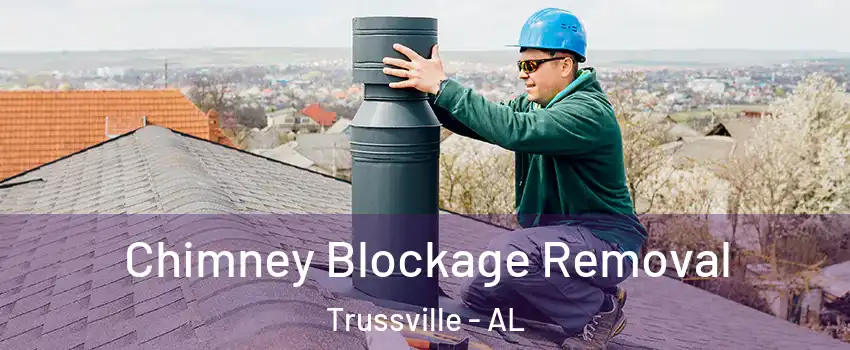  Chimney Blockage Removal Trussville - AL