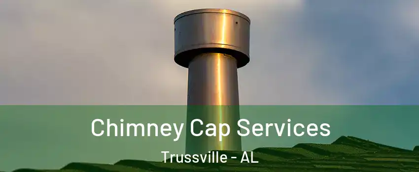  Chimney Cap Services Trussville - AL