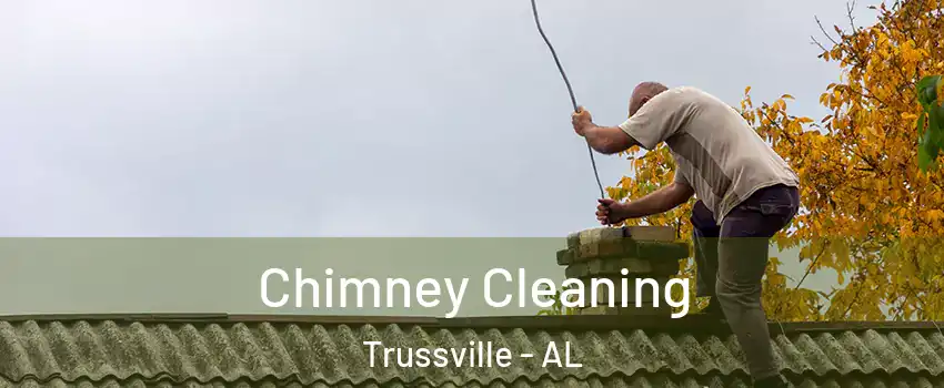  Chimney Cleaning Trussville - AL