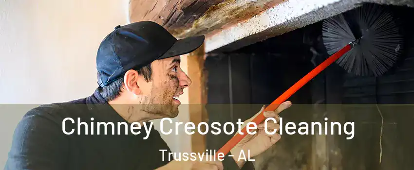  Chimney Creosote Cleaning Trussville - AL