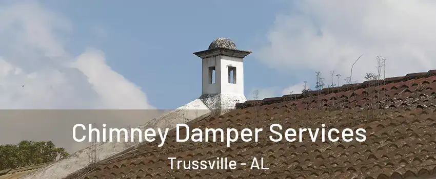  Chimney Damper Services Trussville - AL