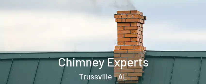 Chimney Experts Trussville - AL
