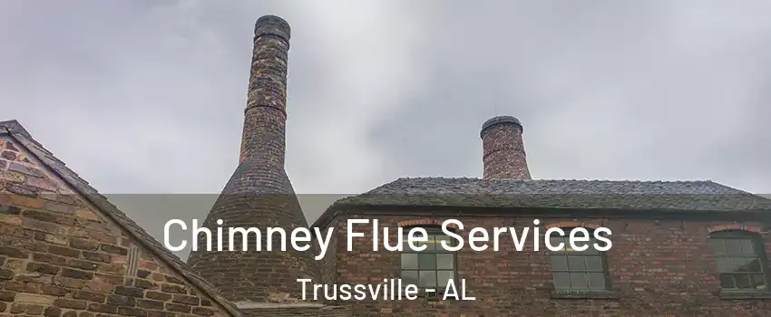  Chimney Flue Services Trussville - AL