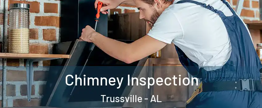  Chimney Inspection Trussville - AL