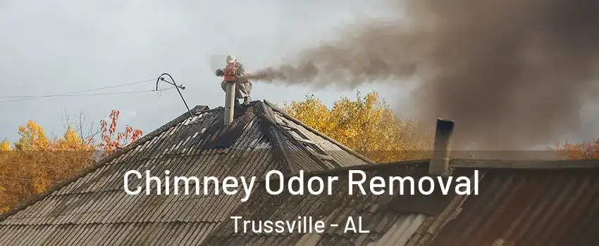  Chimney Odor Removal Trussville - AL