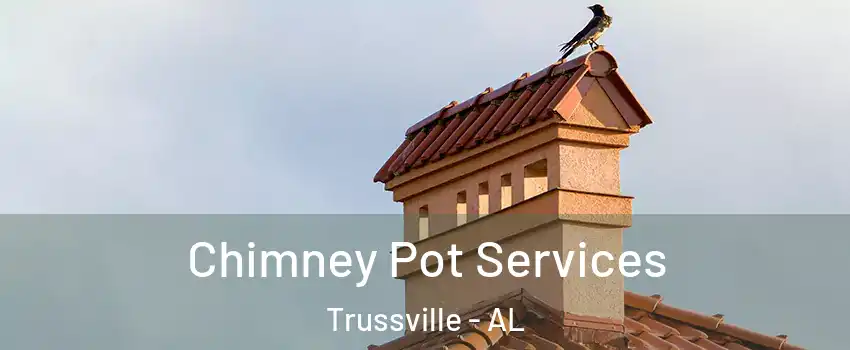  Chimney Pot Services Trussville - AL