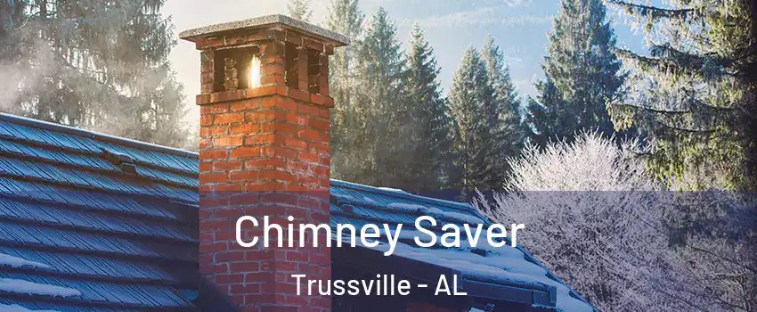  Chimney Saver Trussville - AL