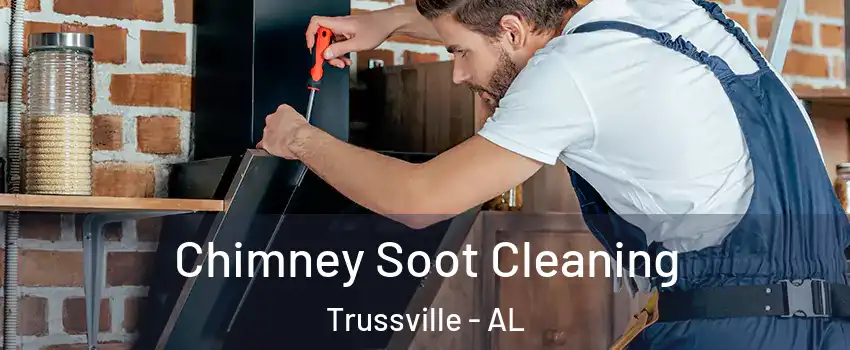  Chimney Soot Cleaning Trussville - AL