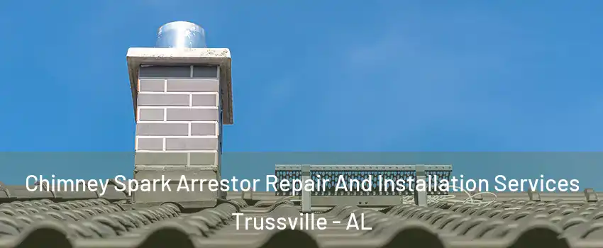  Chimney Spark Arrestor Repair And Installation Services Trussville - AL