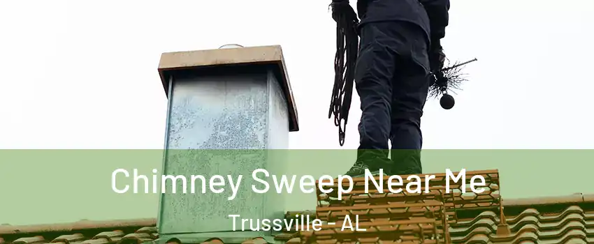  Chimney Sweep Near Me Trussville - AL