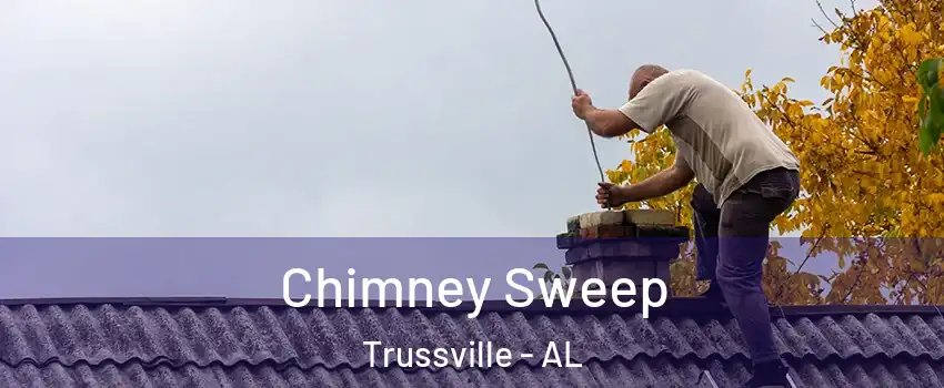 Chimney Sweep Trussville - AL