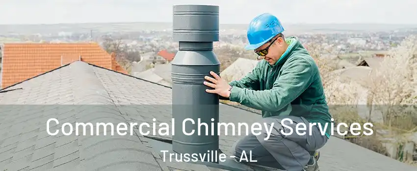  Commercial Chimney Services Trussville - AL