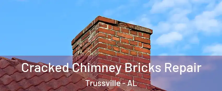  Cracked Chimney Bricks Repair Trussville - AL