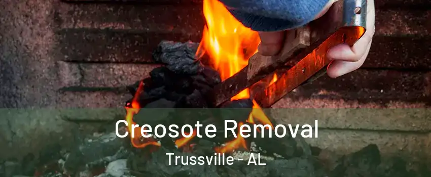  Creosote Removal Trussville - AL
