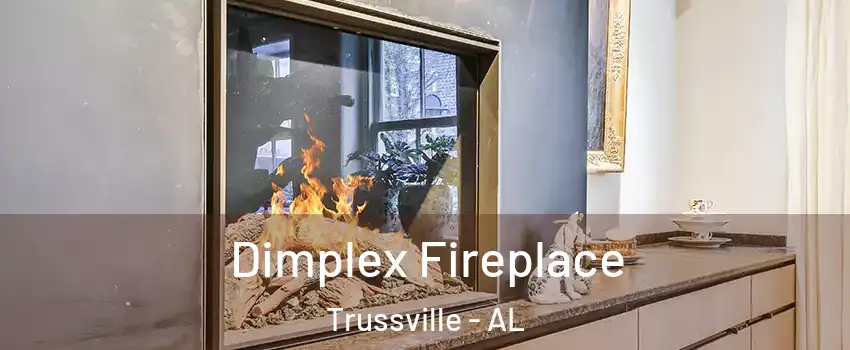  Dimplex Fireplace Trussville - AL