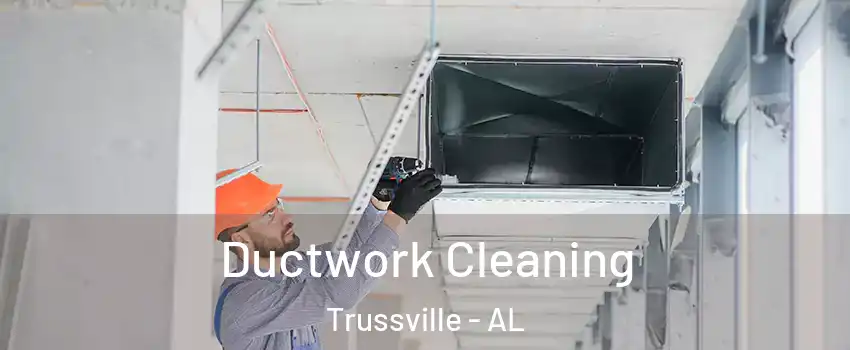  Ductwork Cleaning Trussville - AL