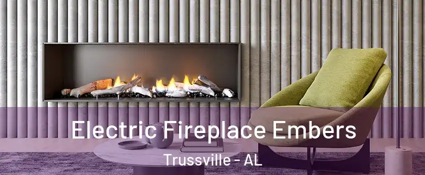  Electric Fireplace Embers Trussville - AL