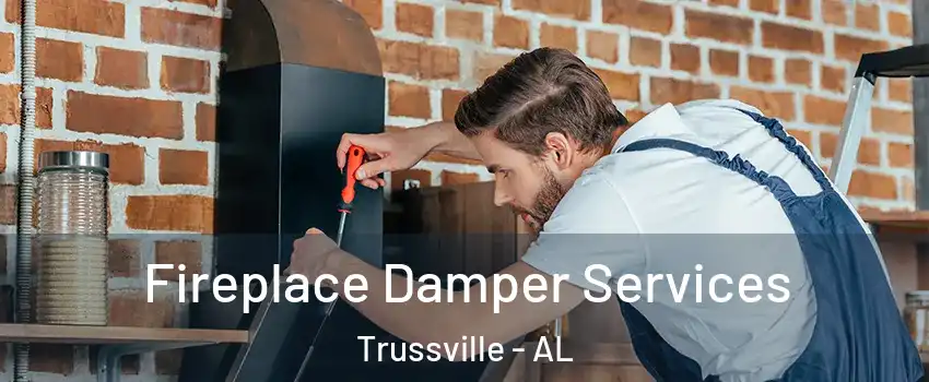  Fireplace Damper Services Trussville - AL