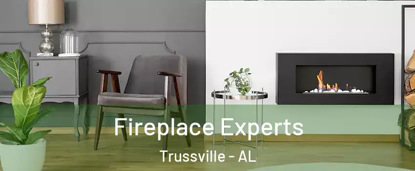  Fireplace Experts Trussville - AL