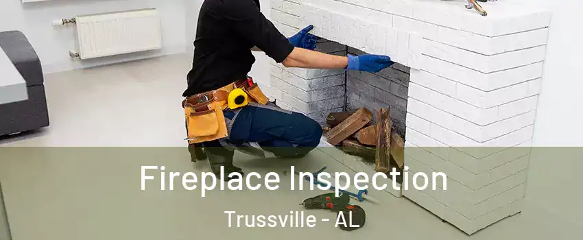  Fireplace Inspection Trussville - AL