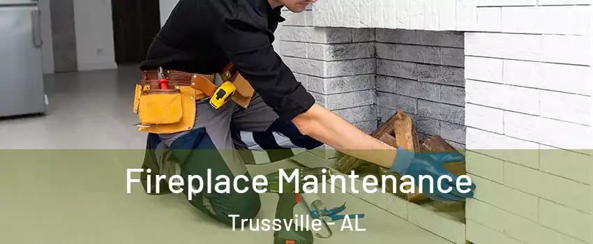  Fireplace Maintenance Trussville - AL