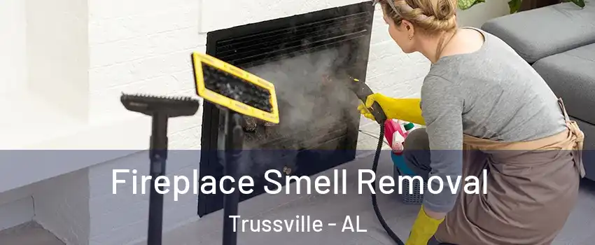  Fireplace Smell Removal Trussville - AL