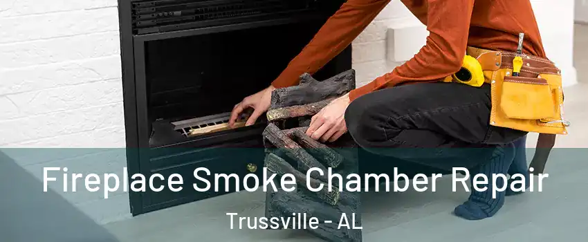  Fireplace Smoke Chamber Repair Trussville - AL