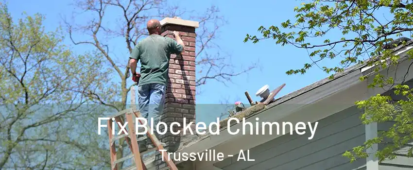  Fix Blocked Chimney Trussville - AL