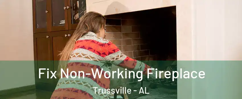  Fix Non-Working Fireplace Trussville - AL
