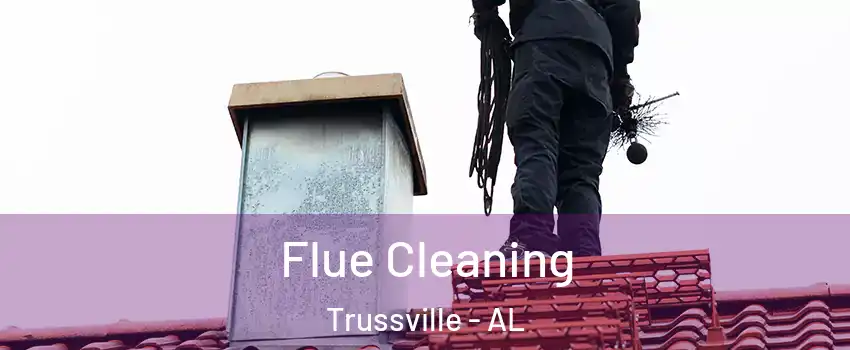  Flue Cleaning Trussville - AL