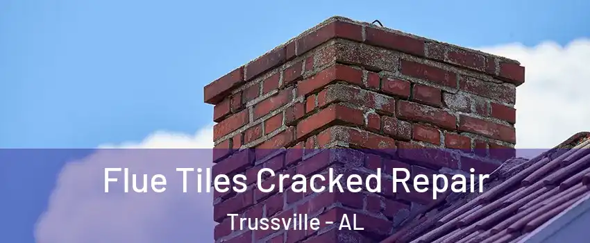  Flue Tiles Cracked Repair Trussville - AL