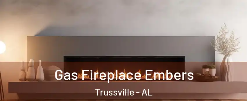  Gas Fireplace Embers Trussville - AL