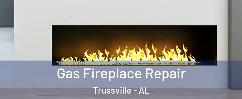  Gas Fireplace Repair Trussville - AL