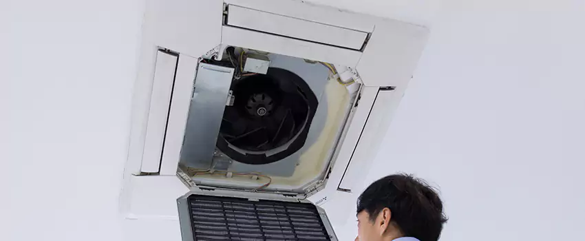 Benefits of Professional Air Duct Cleaning in Trussville, Alabama