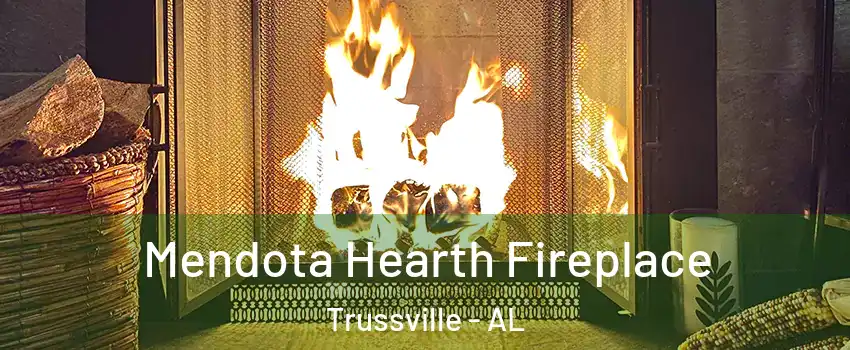  Mendota Hearth Fireplace Trussville - AL