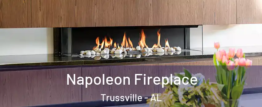  Napoleon Fireplace Trussville - AL