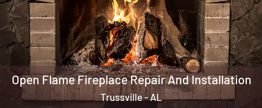  Open Flame Fireplace Repair And Installation Trussville - AL