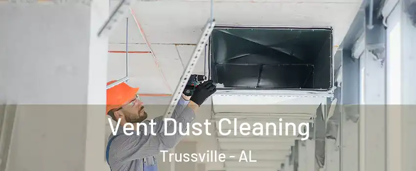  Vent Dust Cleaning Trussville - AL